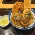 野菜天丼 - 実際訪問したユーザーが直接撮影して投稿した丸の内天ぷら天まる 丸ビルの写真のメニュー情報