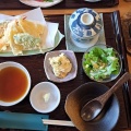 天ぷら - 実際訪問したユーザーが直接撮影して投稿した小信中島和食 / 日本料理和食 一作の写真のメニュー情報