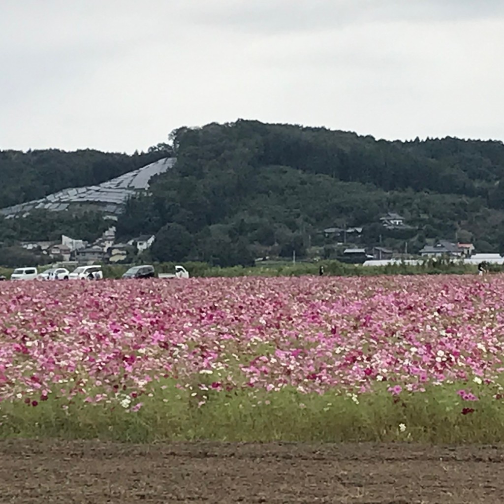 実際訪問したユーザーが直接撮影して投稿した城内坂装飾品 / 工芸品うめの民芸店の写真