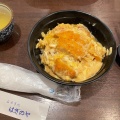 丼物 - 実際訪問したユーザーが直接撮影して投稿した東向中町定食屋はぎのやの写真のメニュー情報