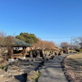 実際訪問したユーザーが直接撮影して投稿した鯰公園嘉島近隣公園の写真