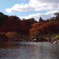 実際訪問したユーザーが直接撮影して投稿した本郷町善入寺庭園三景園の写真