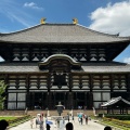 実際訪問したユーザーが直接撮影して投稿した雑司町寺東大寺 大仏殿の写真