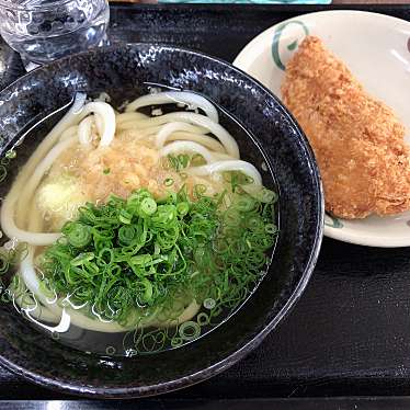 実際訪問したユーザーが直接撮影して投稿した加茂町うどんこだわり麺や 坂出鴨川店の写真