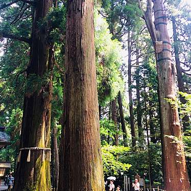 Hiro-Sakuさんが投稿した三田井神社のお店高千穂神社/タカチホジンジャの写真