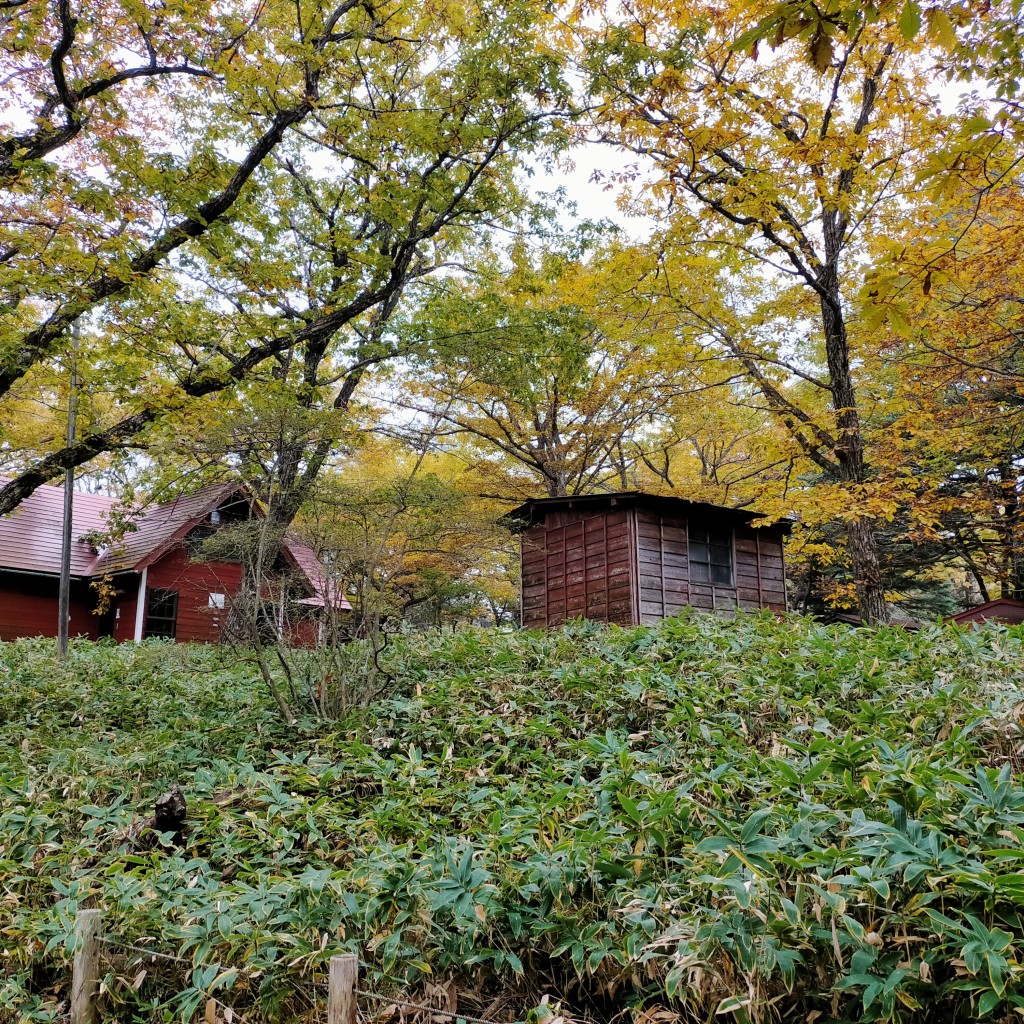 実際訪問したユーザーが直接撮影して投稿した富士見町赤城山キャンプ場 / バンガロー・コテージ赤城バンガロー村の写真