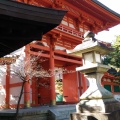 実際訪問したユーザーが直接撮影して投稿した紫野今宮町神社紫野 今宮神社の写真
