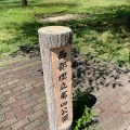 実際訪問したユーザーが直接撮影して投稿した井口明神公園西部埋立第四公園の写真