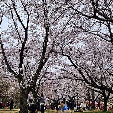 あけぼの山公園(さくら山)のundefinedに実際訪問訪問したユーザーunknownさんが新しく投稿した新着口コミの写真