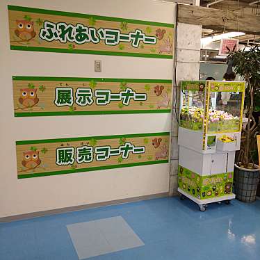 実際訪問したユーザーが直接撮影して投稿した朝生田町動物園いきものふれあい学校 松山店の写真