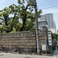 実際訪問したユーザーが直接撮影して投稿した博労町神社難波神社の写真