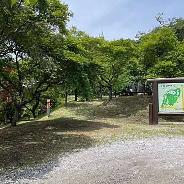 実際訪問したユーザーが直接撮影して投稿した大興寺公園旭東児童遊園地の写真