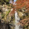 実際訪問したユーザーが直接撮影して投稿した箕面公園滝 / 渓谷箕面大滝の写真