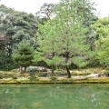 実際訪問したユーザーが直接撮影して投稿した尾山町庭園尾山神社庭園の写真