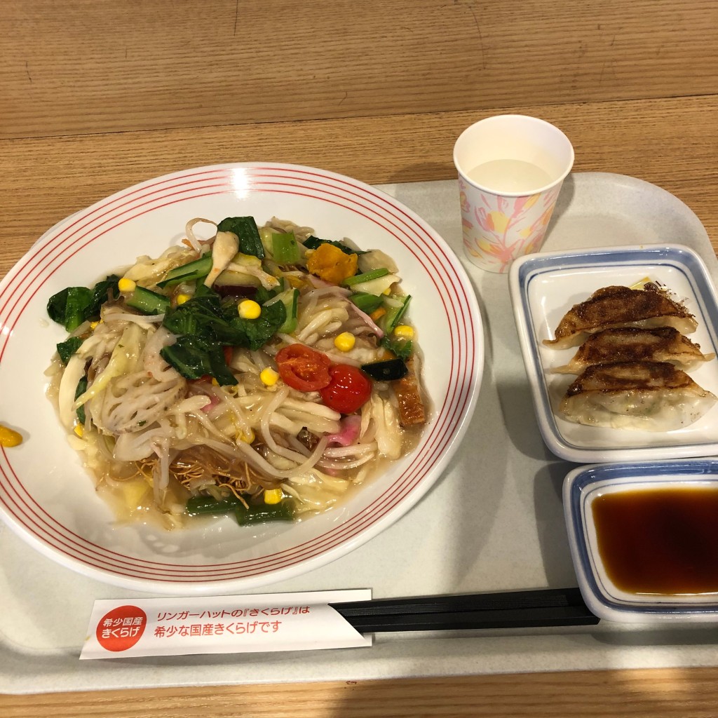 ユーザーが投稿した彩り野菜の皿うどんの写真 - 実際訪問したユーザーが直接撮影して投稿した千代崎ちゃんぽんリンガーハット イオンモール大阪ドームシティ店の写真