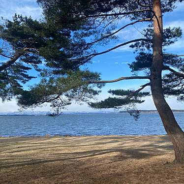 実際訪問したユーザーが直接撮影して投稿した大浦湖沼 / 池小川原湖の写真