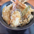 てんこもり丼 - 実際訪問したユーザーが直接撮影して投稿した岩崎天ぷらてんこもり岩崎店の写真のメニュー情報