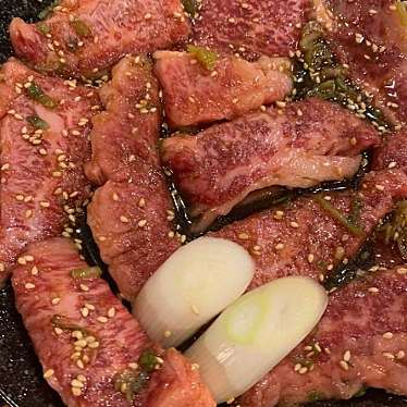 実際訪問したユーザーが直接撮影して投稿した根本焼肉焼肉 ゴーゴーの写真