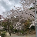 実際訪問したユーザーが直接撮影して投稿した綾羽公園五月山公園の写真