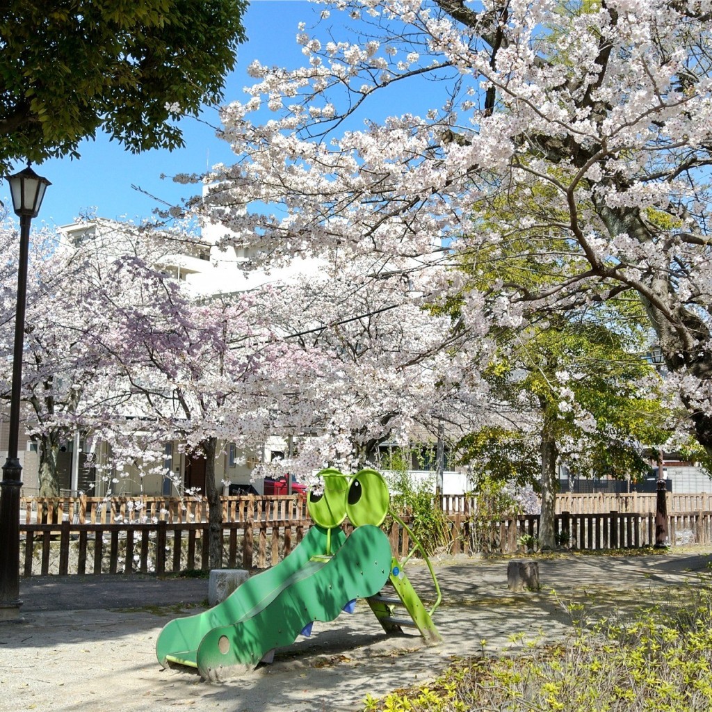 実際訪問したユーザーが直接撮影して投稿した船町公園水都公園の写真