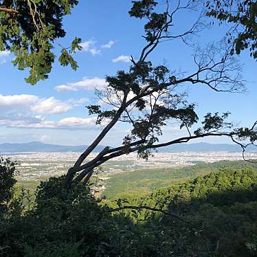 ははみんさんが投稿した大原野小塩町寺のお店善峯寺/ヨシミネデラの写真