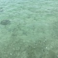 実際訪問したユーザーが直接撮影して投稿した黒島海水浴場 / 海浜西の浜の写真