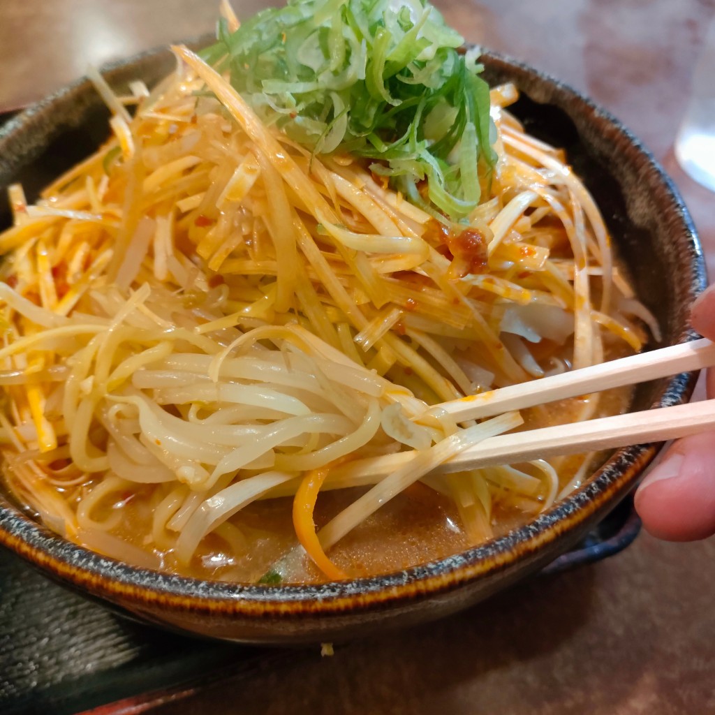 ユーザーが投稿したねぎ味噌ラーメンの写真 - 実際訪問したユーザーが直接撮影して投稿した向作田ラーメン / つけ麺ラーメン専科 二本松店の写真