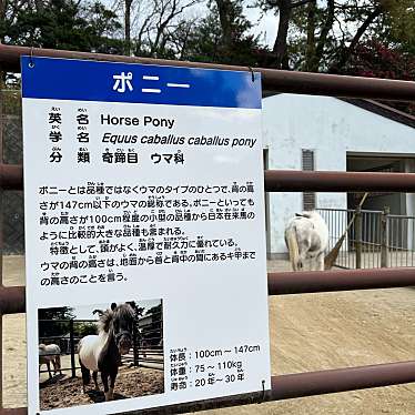 実際訪問したユーザーが直接撮影して投稿した欠町動物園岡崎市東公園 動物園の写真