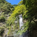 実際訪問したユーザーが直接撮影して投稿した箕面公園滝 / 渓谷箕面大滝の写真