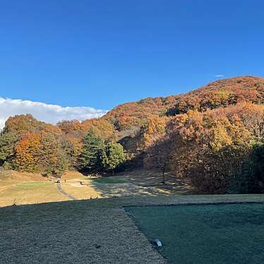 実際訪問したユーザーが直接撮影して投稿した皆川城内町定食屋大平台カントリークラブの写真