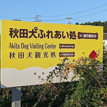 実際訪問したユーザーが直接撮影して投稿した船川港船川動物ふれあい秋田犬ふれあい処の写真