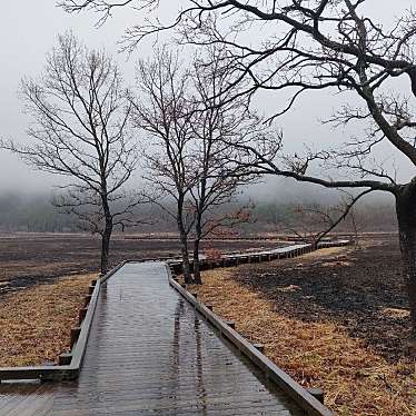 実際訪問したユーザーが直接撮影して投稿した田野山 / 峠タデ原湿原の写真