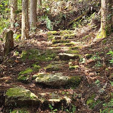 くまくまくまーさんが投稿した紀和町小栗須山 / 峠のお店通り峠/トオリトオゲの写真