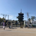 実際訪問したユーザーが直接撮影して投稿した善通寺町寺善通寺の写真