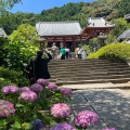 実際訪問したユーザーが直接撮影して投稿した矢田町寺矢田寺の写真