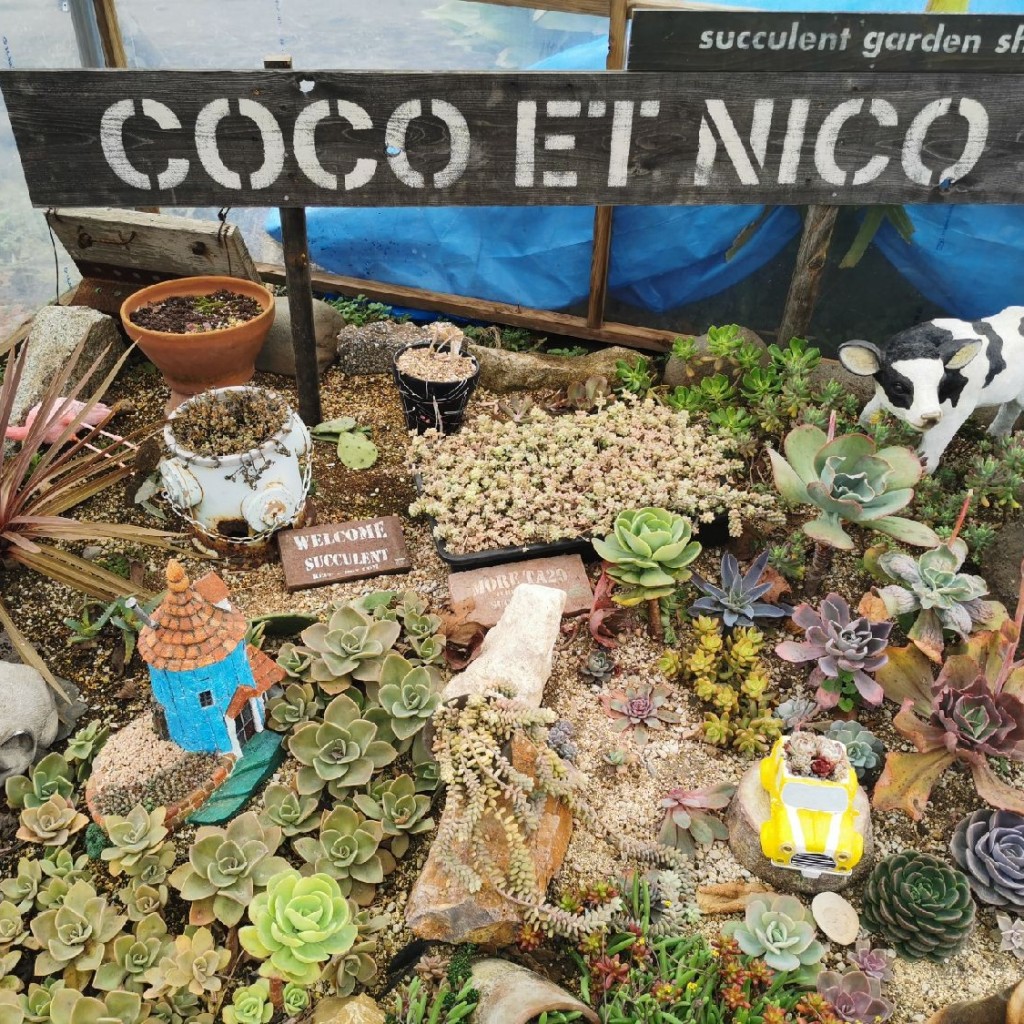 実際訪問したユーザーが直接撮影して投稿した鶴舞中華料理COCO ET NICOの写真