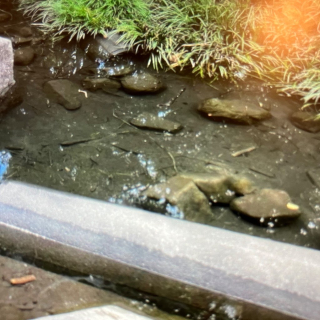 実際訪問したユーザーが直接撮影して投稿した小泉町公園小泉公園の写真