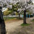 実際訪問したユーザーが直接撮影して投稿した阿弥公園舟渡池公園の写真