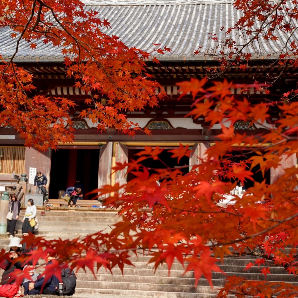 実際訪問したユーザーが直接撮影して投稿した梅ケ畑高雄町寺神護寺の写真