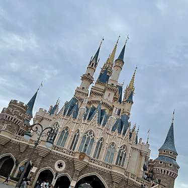 東京ディズニーランドのundefinedに実際訪問訪問したユーザーunknownさんが新しく投稿した新着口コミの写真