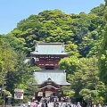 実際訪問したユーザーが直接撮影して投稿した雪ノ下神社鶴岡八幡宮の写真