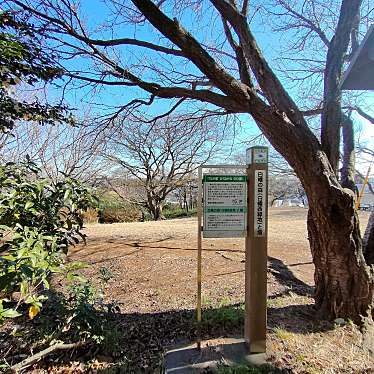 実際訪問したユーザーが直接撮影して投稿した白幡西町公園白幡の森の写真