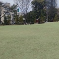 実際訪問したユーザーが直接撮影して投稿した金町公園セントラルパーク金公園の写真