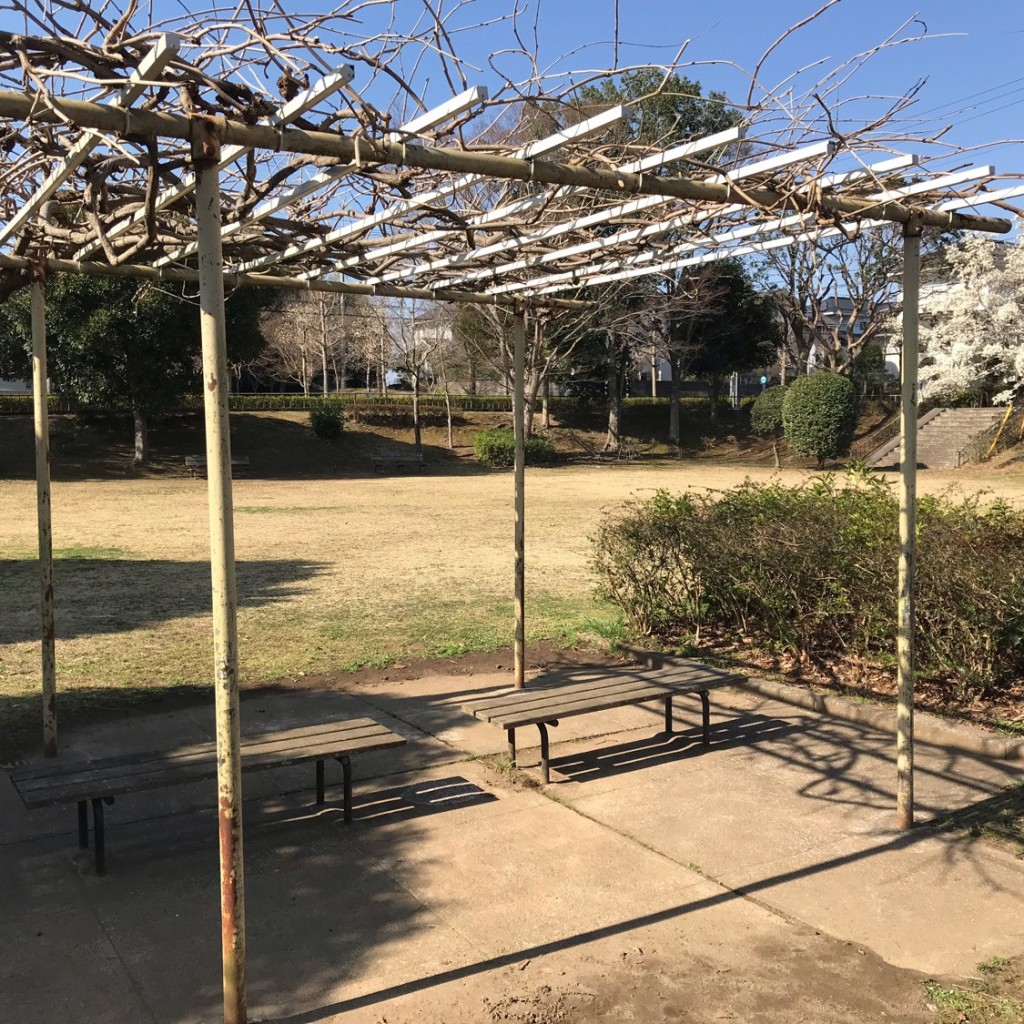 実際訪問したユーザーが直接撮影して投稿した小林公園城山公園の写真