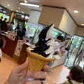 実際訪問したユーザーが直接撮影して投稿した平泉和菓子松栄堂 弁慶園の写真