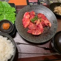 実際訪問したユーザーが直接撮影して投稿した余部町肉料理焼肉特急 亀岡駅の写真