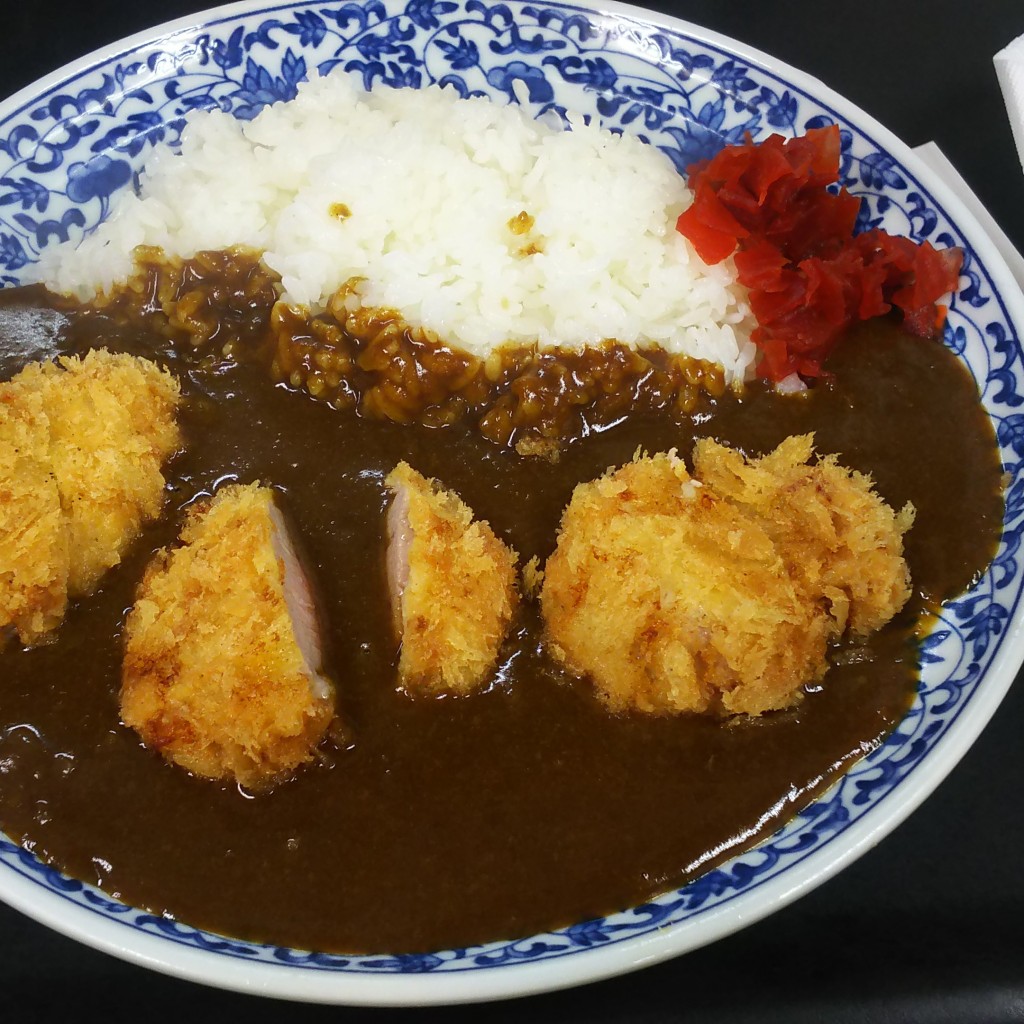 ユーザーが投稿したヒレカツカレーの写真 - 実際訪問したユーザーが直接撮影して投稿した中野新田定食屋とんかつ宇田川の写真