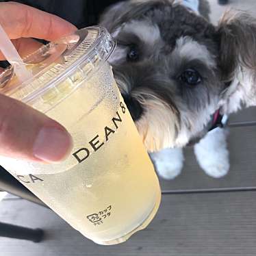 DEAN&DELUCA ベーカリーカフェ 名城公園店のundefinedに実際訪問訪問したユーザーunknownさんが新しく投稿した新着口コミの写真