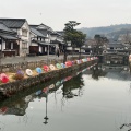 実際訪問したユーザーが直接撮影して投稿した中央生息地 / 群生地・飛来地白鳥エリアの写真