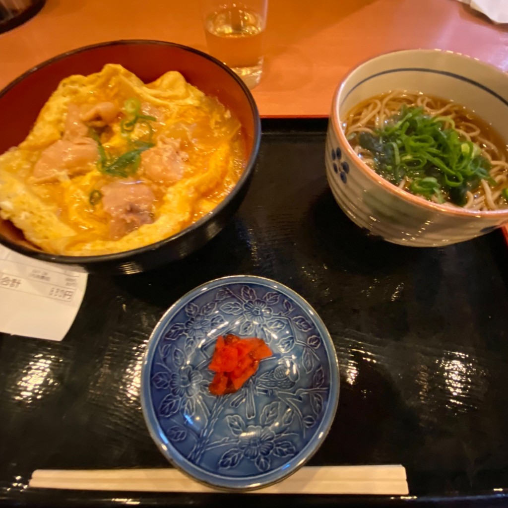 ユーザーが投稿した親子丼セットの写真 - 実際訪問したユーザーが直接撮影して投稿した神田三崎町そばそば居酒屋 やす田の写真